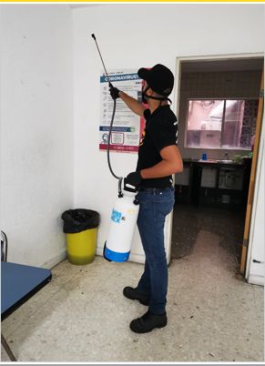 Servicios de fumigación en Monterrey