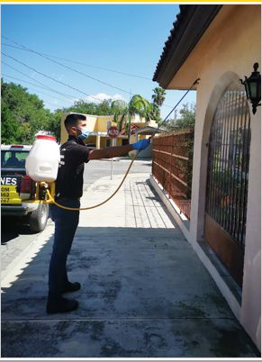 Servicios de fumigación en Monterrey