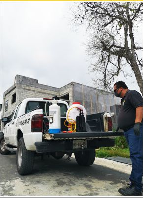 Servicios de fumigación en Monterrey